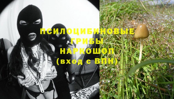 кокс Абаза
