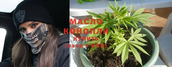 молекула духа Алзамай