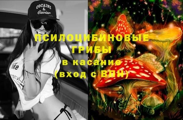 эйфоретик Абинск