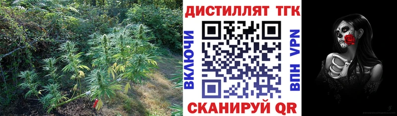наркота  Новопавловск  omg зеркало  Дистиллят ТГК концентрат 
