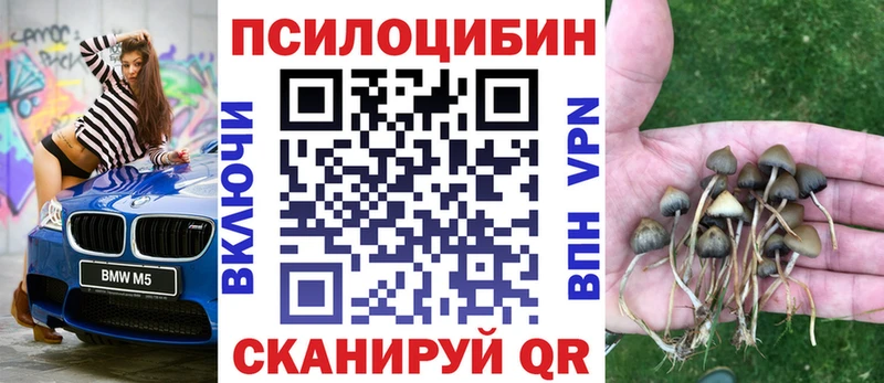 Галлюциногенные грибы Psilocybe  hydra сайт  Новопавловск 